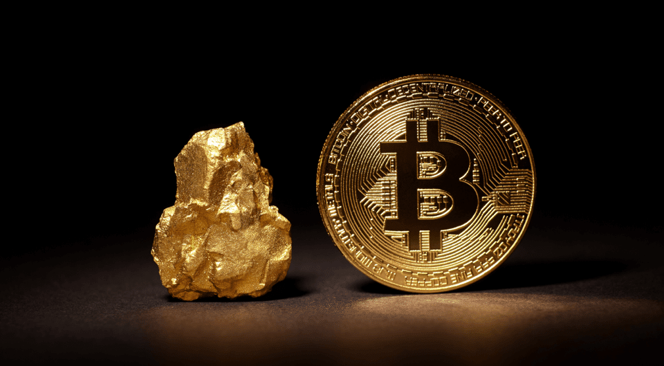 sollte man in bitcoin investieren crypto investieren lernen