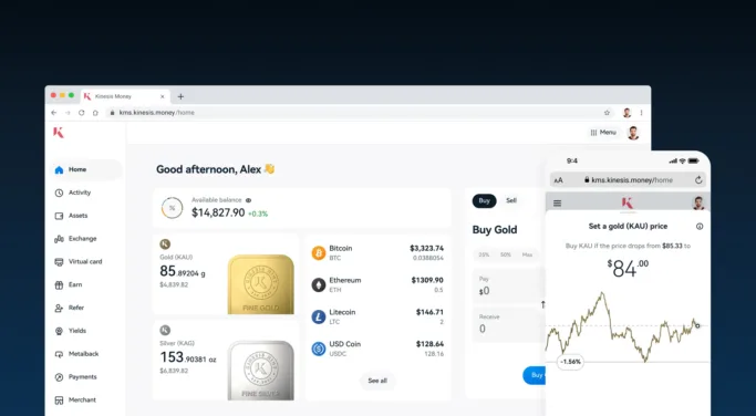 kinesis platform dashboard view